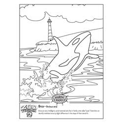Orque - Coloriages gratuits à imprimer