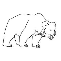Coloriage Ours marchant sur ses quatre pattes