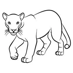 Coloriage Panthère en marche