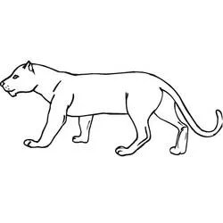 Coloriage Panthère en position de profil
