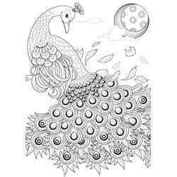 Coloriage Paon aux plumes déployées sous la lune