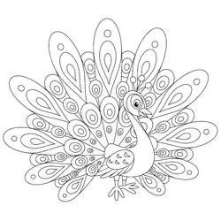 Paon - Coloriages gratuits à imprimer