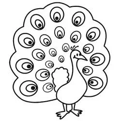 Coloriage Paon aux plumes de queue déployées