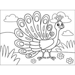 Coloriage Paon faisant la roue avec sa queue déployée