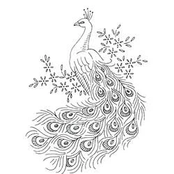 Coloriage Paon aux longues plumes ornées