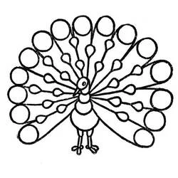 Coloriage Paon aux plumes de queue déployées