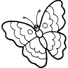 Coloriage Papillon aux ailes déployées