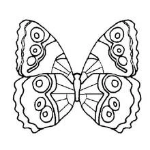 Coloriage Papillon aux ailes symétriques ornées d'ocelles