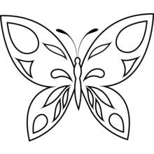 Coloriage Papillon aux ailes symétriques ornées de motifs