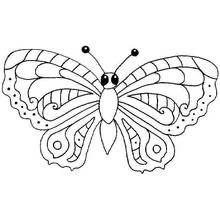 Coloriage Papillon aux ailes symétriques ornées