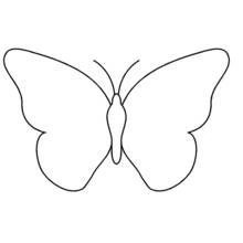 Coloriage Papillon aux ailes largement déployées