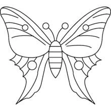 Coloriage Papillon aux ailes symétriques