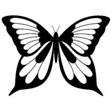 Coloriage Papillon aux ailes symétriques
