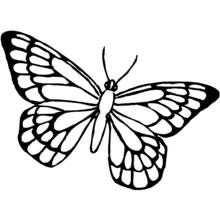 Papillon - Coloriages gratuits à imprimer