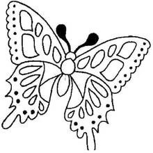Coloriage Papillon aux ailes symétriques décorées
