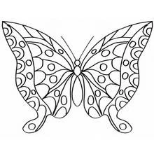 Coloriage Papillon aux ailes symétriques ornées