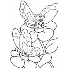 Coloriage Papillon posé sur des fleurs avec un ami