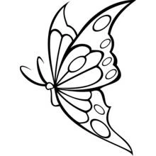 Coloriage Papillon aux ailes déployées et pois arrondis
