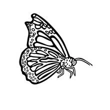 Coloriage Papillon aux ailes richement détaillées