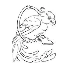 Coloriage Perroquet perché sur un cerceau avec sa gamelle