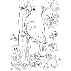 Pic vert - Coloriages gratuits à imprimer