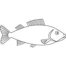 Poisson - Coloriages gratuits à imprimer