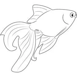 Coloriage Poisson rouge aux nageoires flottantes