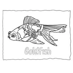 Coloriage Poisson Rouge nageant avec de longues nageoires