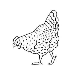 Coloriage Poule picorant le sol