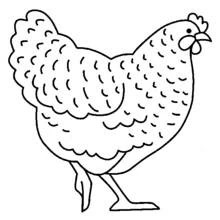 Coloriage Poule debout de profil