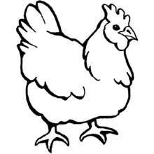 Coloriage Poule debout à la crête dressée