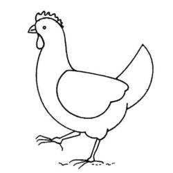 Coloriage Poule marchant sur le sol