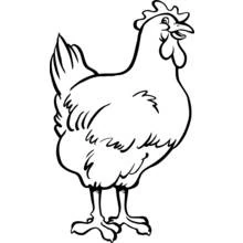 Coloriage Poule debout au plumage dodu