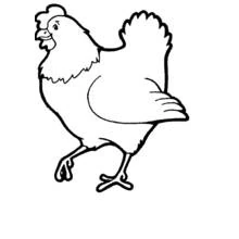 Coloriage Poule marchant avec la queue relevée