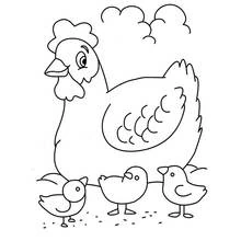 Coloriage Poule avec trois poussins