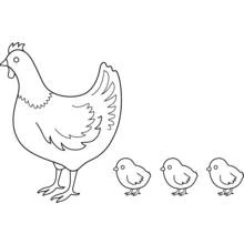 Coloriage Poule debout avec trois poussins