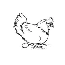 Coloriage Poule debout près d'un œuf