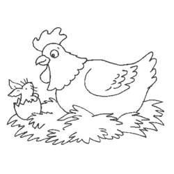 Coloriage Poule couvant un poussin qui sort de son œuf