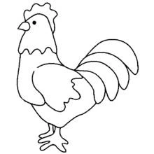 Coloriage Poule debout avec sa queue en éventail
