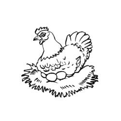 Coloriage Poule couvant ses œufs dans un nid