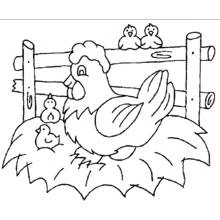 Coloriage Poule couvant sur son nid avec des poussins
