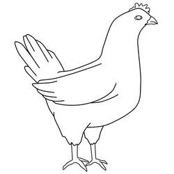 Coloriage Poule debout avec la queue relevée