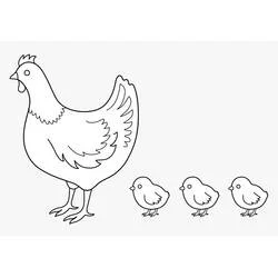 Coloriage Poule et Poussin avec trois petits poussins