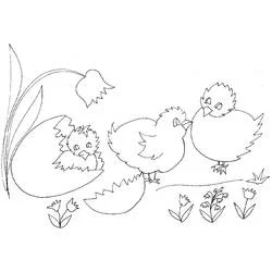 Coloriage Poule et poussin dans la nature