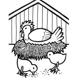 Coloriage Poule et Poussin au poulailler
