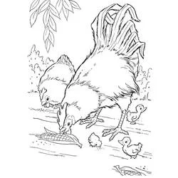 Coloriage Poule et Poussin avec un coq près d'un épi de maïs