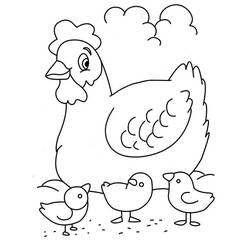 Coloriage Poule et Poussin avec deux poussins