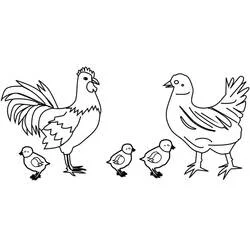Coloriage Poule et Poussin avec coq et poussins
