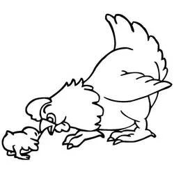 Coloriage Poule et Poussin marchant ensemble