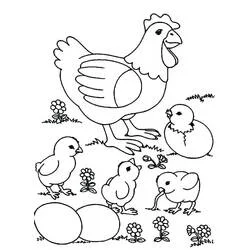 Coloriage Poule et poussins dans un pré fleuri